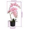 Product Thumbnail Image 4 of 4