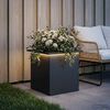 Product Thumbnail Image 2 of 12