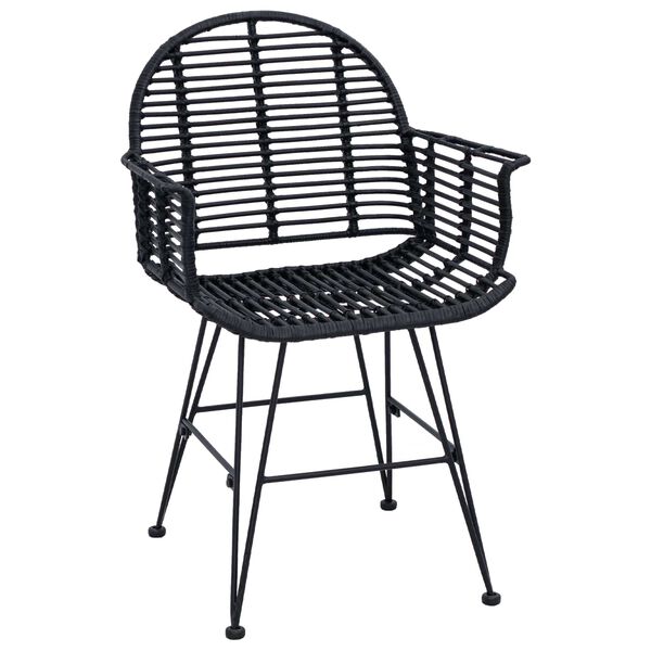 vidaXL Dining Chair 2 pcs Black 44 x 44 x 74 cm Rattan and Iron