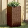 Product Thumbnail Image 2 of 10
