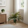 Product Thumbnail Image 2 of 6