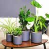 Product Thumbnail Image 2 of 7
