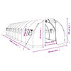 vidaXL Greenhouse with Steel Frame Green 30 m² 10x3x2 m