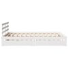Product Thumbnail Image 5 of 11