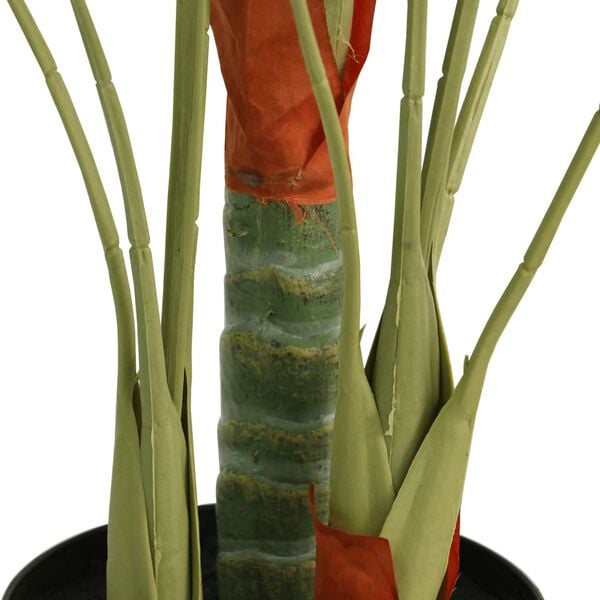 Showing Product Image 2 of 5