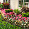 Product Thumbnail Image 4 of 7