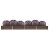 Product Thumbnail Image 2 of 6
