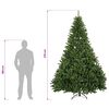 Product Thumbnail Image 11 of 11