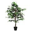 Product Thumbnail Image 2 of 5