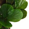 Product Thumbnail Image 3 of 5
