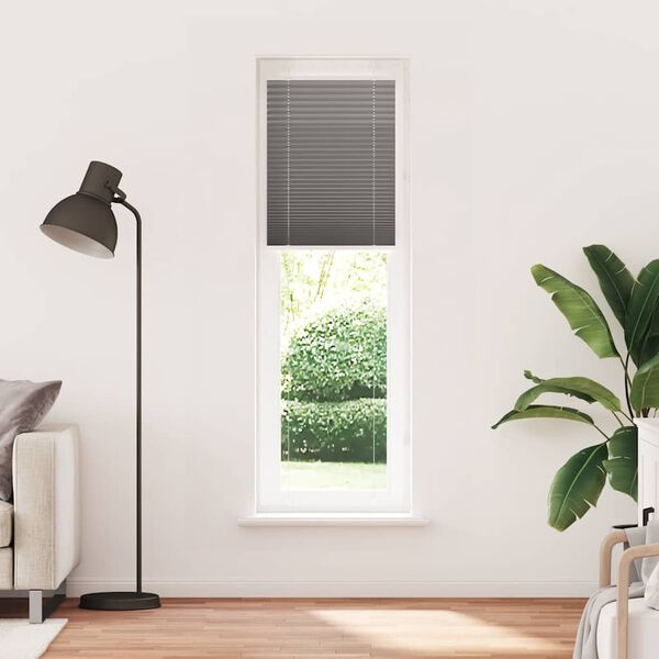 vidaXL Pleated Blind Anthracite 65x200 cm Fabric Width 64.4 cm Polyester