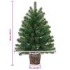 Product Thumbnail Image 19 of 19