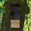 dobar green label Bat House Natural and Black