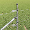 Product Thumbnail Image 4 of 16