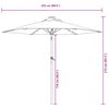 vidaXL Garden Parasol with LEDs and Steel Pole Black 225x225x212cm