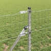 Product Thumbnail Image 4 of 15