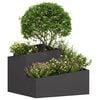 Product Thumbnail Image 3 of 12