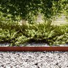 vidaXL Lawn Edging 30 pcs Brown 100 x 0.05 x 20 cm Weathering Steel