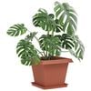 Product Thumbnail Image 3 of 10