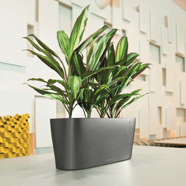 LECHUZA Table Planter Delta 20 ALL-IN-ONE Metallic Charcoal 15563
