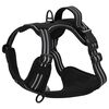 Product Thumbnail Image 9 of 14