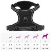 Product Thumbnail Image 14 of 14