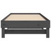 vidaXL Pull-out Day Bed without Mattress Grey 2x(80x200) cm