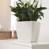 LECHUZA Planter QUADRO LS 35 ALL-IN-ON High-Gloss White 16160