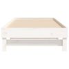 vidaXL Pull-out Day Bed without Mattress White 2x(80x200) cm