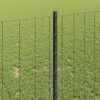 Product Thumbnail Image 4 of 14