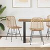 vidaXL Dining Chair 2 pcs Natural 44.5 x 55 x 85 cm Rattan and Iron