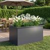Product Thumbnail Image 2 of 13