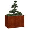Product Thumbnail Image 2 of 11