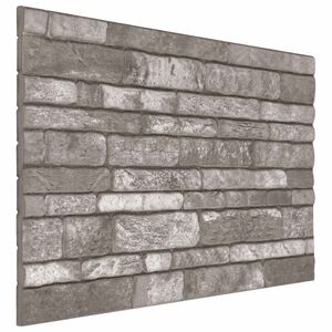 vidaXL Wall Panels 10 pcs 100 x 50 cm Dark Grey EPS Foam