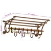 vidaXL Luggage Rack with Coat Hangers Wall Mounted Aluminium