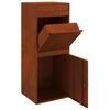 vidaXL Parcel Drop Box Rusty 41 x 38 x 103 cm Weathering Steel