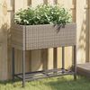 Product Thumbnail Image 2 of 12