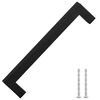 vidaXL Cabinet Handles 10 pcs Black 160 mm Stainless Steel