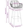 vidaXL Bar Chair 2 pcs Natural 55 x 52 x 105 cm Rattan and Iron