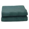 vidaXL Tent Carpet Green 500 x 350 cm Polyester