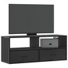 vidaXL TV Cabinet Black 100x31x39.5 cm Engineered Wood and Metal