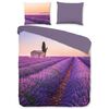 Pure Duvet Cover LAVENDER 200x200/220 cm