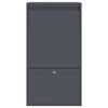 vidaXL Parcel Drop Box with Storage Anthracite 44 x 22 x 82 cm Steel