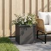 Product Thumbnail Image 3 of 12