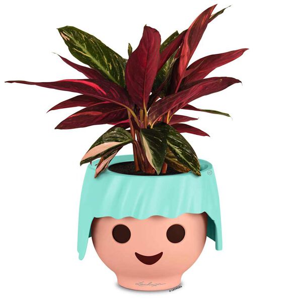 LECHUZA Table Planter OJO ALL-IN-ONE Aquamarine Green