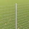 Product Thumbnail Image 4 of 14
