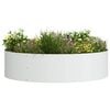 vidaXL Planter Ring White 80 x 80 x 20 cm Cold-rolled Steel