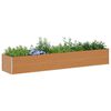 Product Thumbnail Image 3 of 13