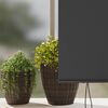 Product Thumbnail Image 4 of 12