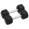 vidaXL Dumbbells 2 pcs 6 kg Total Cast Iron